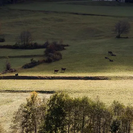 Schaivel Appartement *