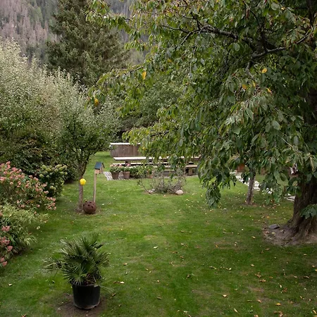 Schaivel Appartement *